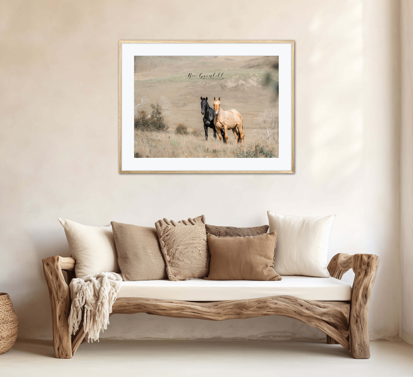 Brumby Foals
