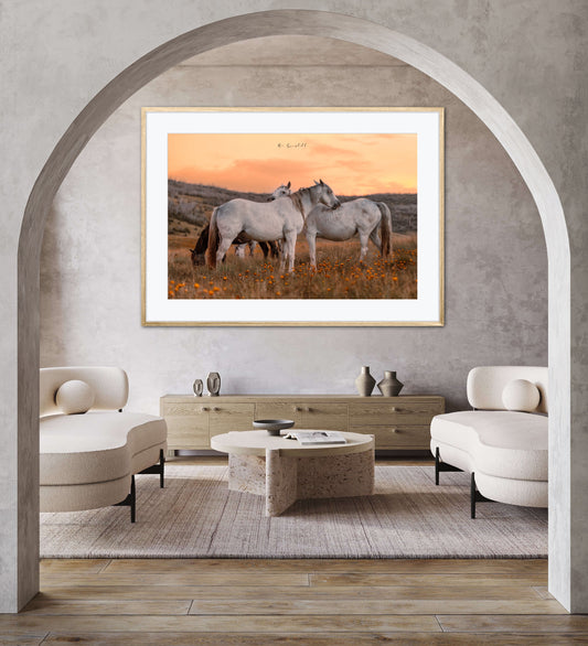 Wild Flowers & Wild Horses (Limited Edition)